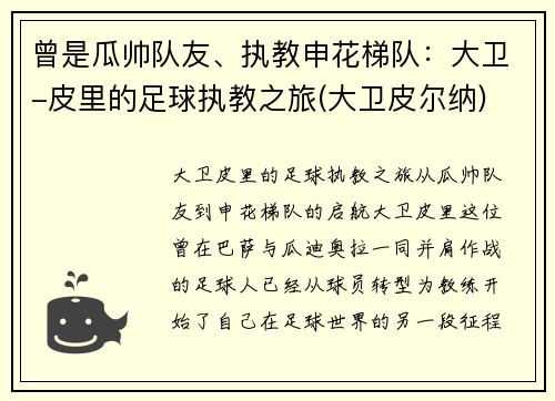 曾是瓜帅队友、执教申花梯队：大卫-皮里的足球执教之旅(大卫皮尔纳)