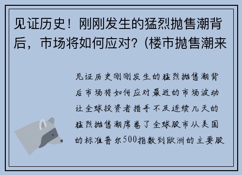 见证历史！刚刚发生的猛烈抛售潮背后，市场将如何应对？(楼市抛售潮来袭)