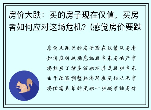 房价大跌：买的房子现在仅值，买房者如何应对这场危机？(感觉房价要跌)