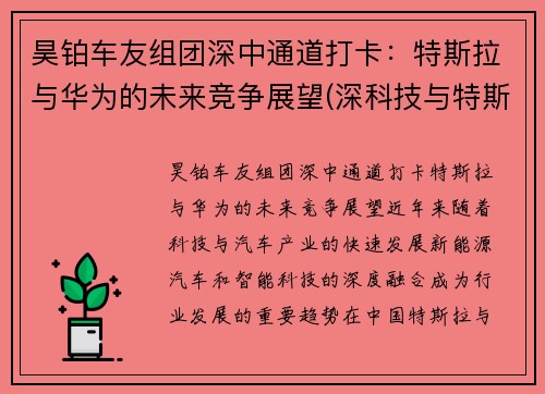 昊铂车友组团深中通道打卡：特斯拉与华为的未来竞争展望(深科技与特斯拉合作)