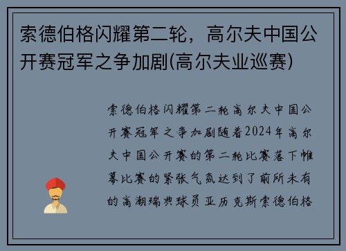 索德伯格闪耀第二轮，高尔夫中国公开赛冠军之争加剧(高尔夫业巡赛)