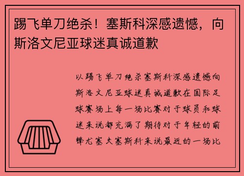 踢飞单刀绝杀！塞斯科深感遗憾，向斯洛文尼亚球迷真诚道歉